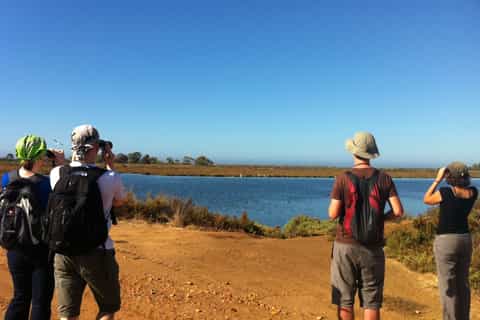 Rio Formosa Nature Park: 3-Hour Guided Walking Tour