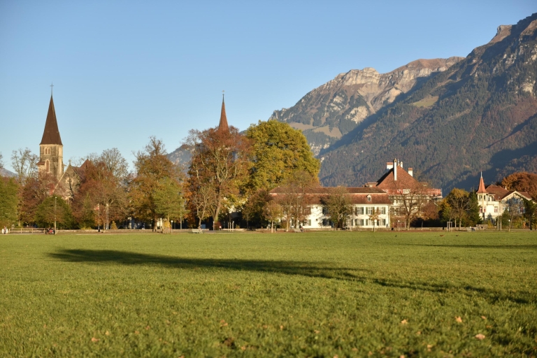 Depuis Genève : transfert privé aller-retour vers la ville d'InterlakenDe Genève à Interlaken tour