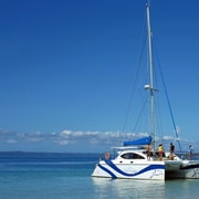 Dolphin 4-Hour Eco-Sailing Adventure