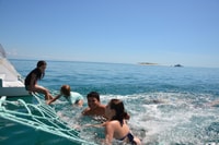 Fraser Island 4-Hour Eco-Sailing Adventure - Housity