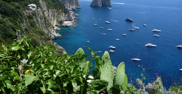 Von Positano, Praiano oder Amalfi aus: Capri Ganztagestour mit dem Boot