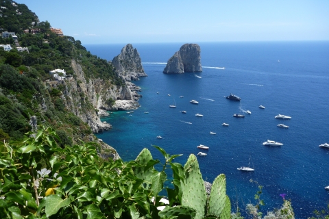 Capri: Excursión de un día en barcoCrucero desde Praiano