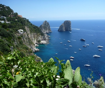 From Positano, Praiano, or Amalfi: Capri Full-Day Boat Tour