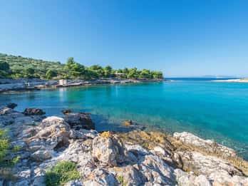 From Hvar: Private Pakleni Islands Speedboat Cruising