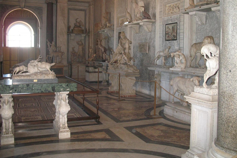 Vatican Museums & Sistine Chapel Guided Tour