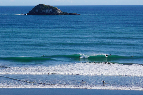 Auckland: Surfinglektion i grupp med Muriwai Surf School