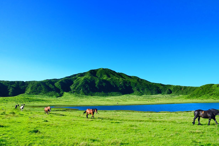 Kyushu Aso Volcano, Aso Boy Scenic Train,Hot Spring Day Tour 11:00AM pickup at Kumamoto Castle