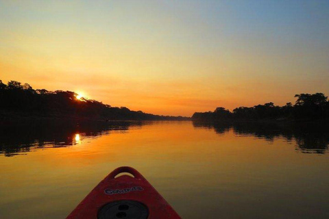 Puerto Maldonado: 4-Day Amazon Rainforest Adventure