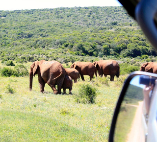 Garden Route National Park: Multi-day Trips and Tours from Cape Town