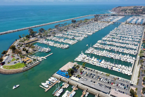 From Los Angeles Coastal Sightseeing Day Tour