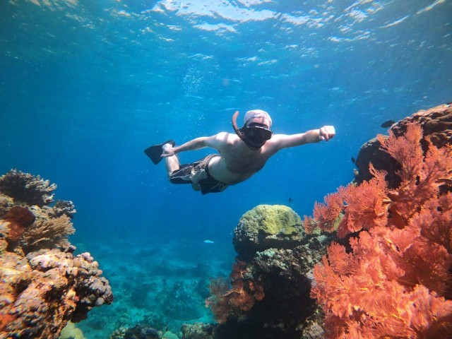 Visit Amed  Japanese Shipwreck Private Snorkeling in Bali Amed