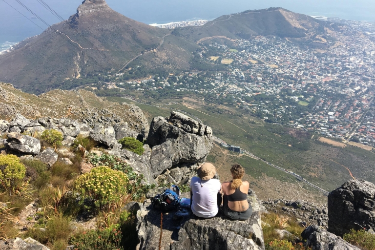 Table Mountain Hike with Local Expert Tour Guide Half-Day Hikes