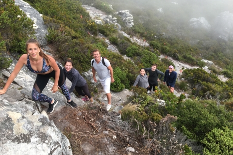 Caminata a Table Mountain con guía local expertoCaminatas de medio día
