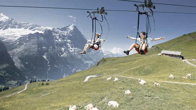 day trip from zurich grindelwald first mountain adventure