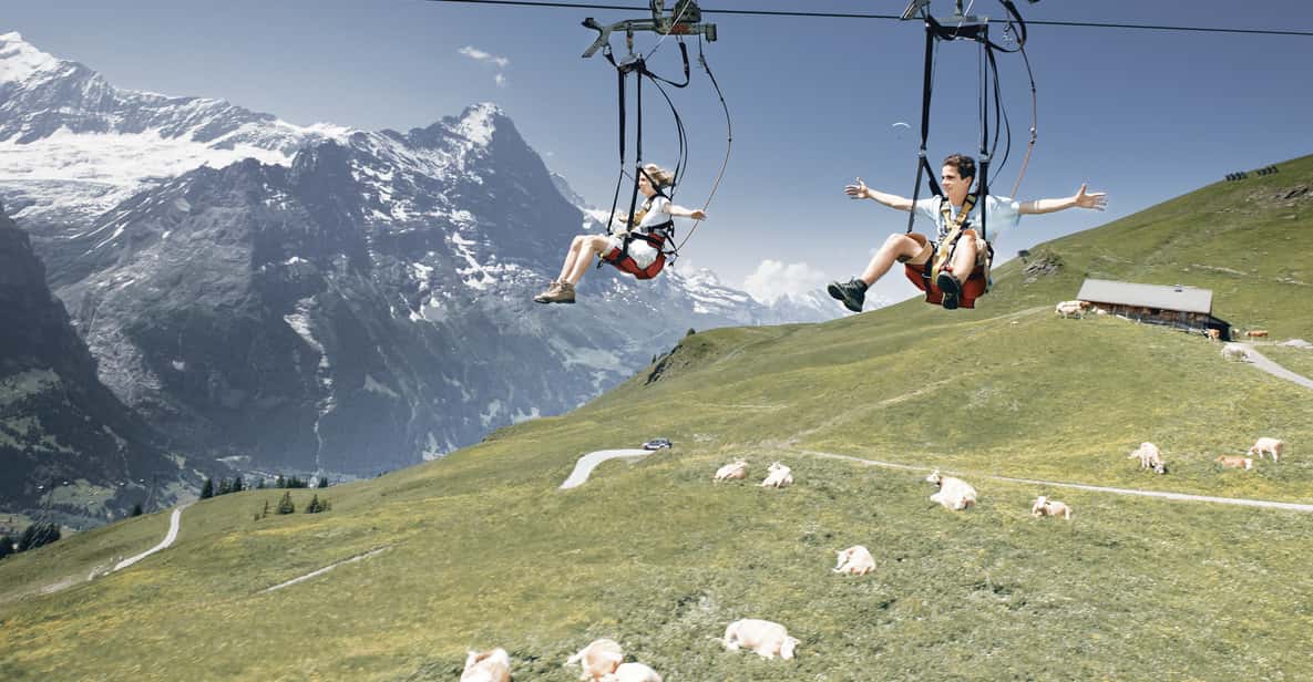 Day Trip from Zurich: Grindelwald First Mountain Adventure