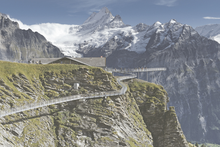 Day Trip from Zurich: Grindelwald First Mountain Adventure