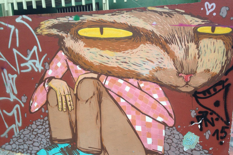 San Paolo: Tour dei graffiti e dell'arte urbanaSan Paolo: tour di graffiti e arte urbana