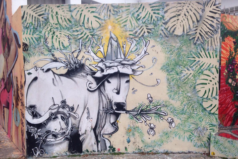 San Paolo: Tour dei graffiti e dell'arte urbanaSan Paolo: tour di graffiti e arte urbana