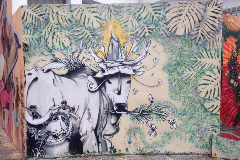 San Paolo: Tour dei graffiti e dell'arte urbanaSan Paolo: tour di graffiti e arte urbana