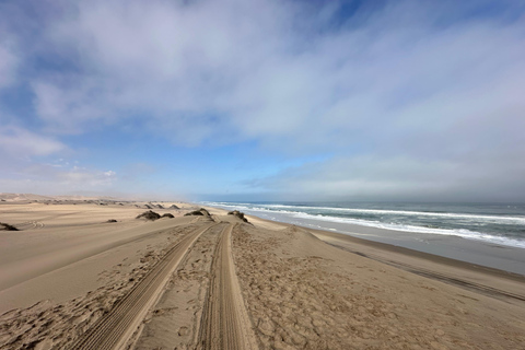 Swakopmund: Namib Desert Sunrise, Seals & Sandwich Harbour