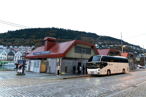 Bergen: Viking Village, Nærøyfjord & Flåm Day Trip