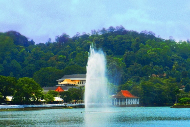 Kandy and Pinnawala Private Full–Day Tour Standard Option