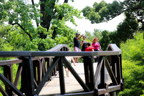 Black Sea: Magnetic Beach and Batumi Botanical Garden Tour