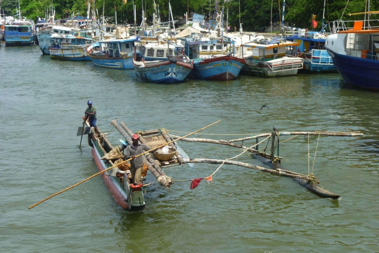 Negombo: all-inclusive lagune-visreis en lunch met zeevruchten