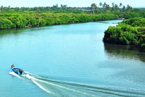 Negombo: Dutch Canal, Negombo Lagoon, Muthrajawela Boat Tour