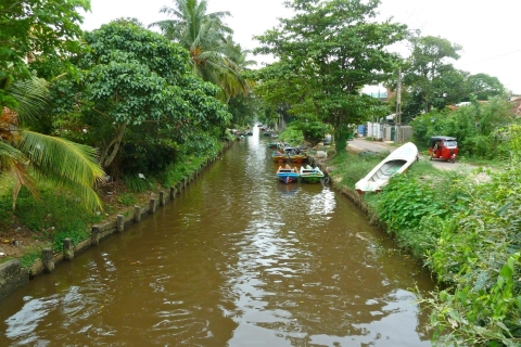 Negombo: Hamilton-Kanal, Lagune & Muthrajawela Bootstour