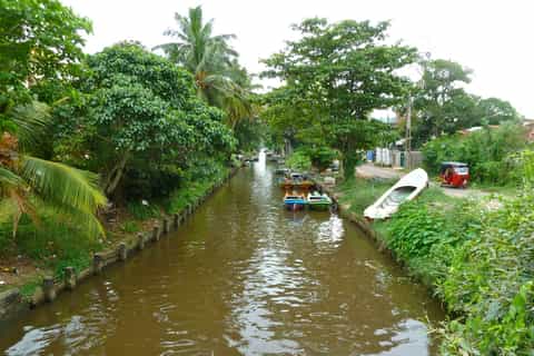 Negombo: Dutch Canal, Negombo Lagoon, Muthrajawela Boat Tour