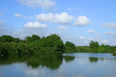 Negombo: Dutch Canal, Negombo Lagoon, Muthrajawela Boat Tour