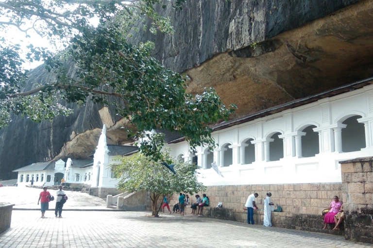 Kandy: visite tout compris de la forteresse de Sigiriya et du temple des grottes