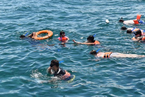 Isla Mujeres: Only Adults Catamaran and Snorkel Experience Only Entrance No Transportation