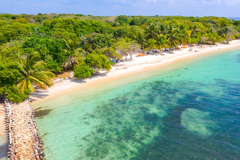 Cartagena: Day Trip to Barú Island, Baruch Wave Beach Club + Lunch + Snorkeling