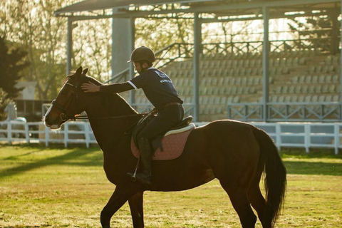 巴库骑马体验：邂逅世界名驹标准套餐