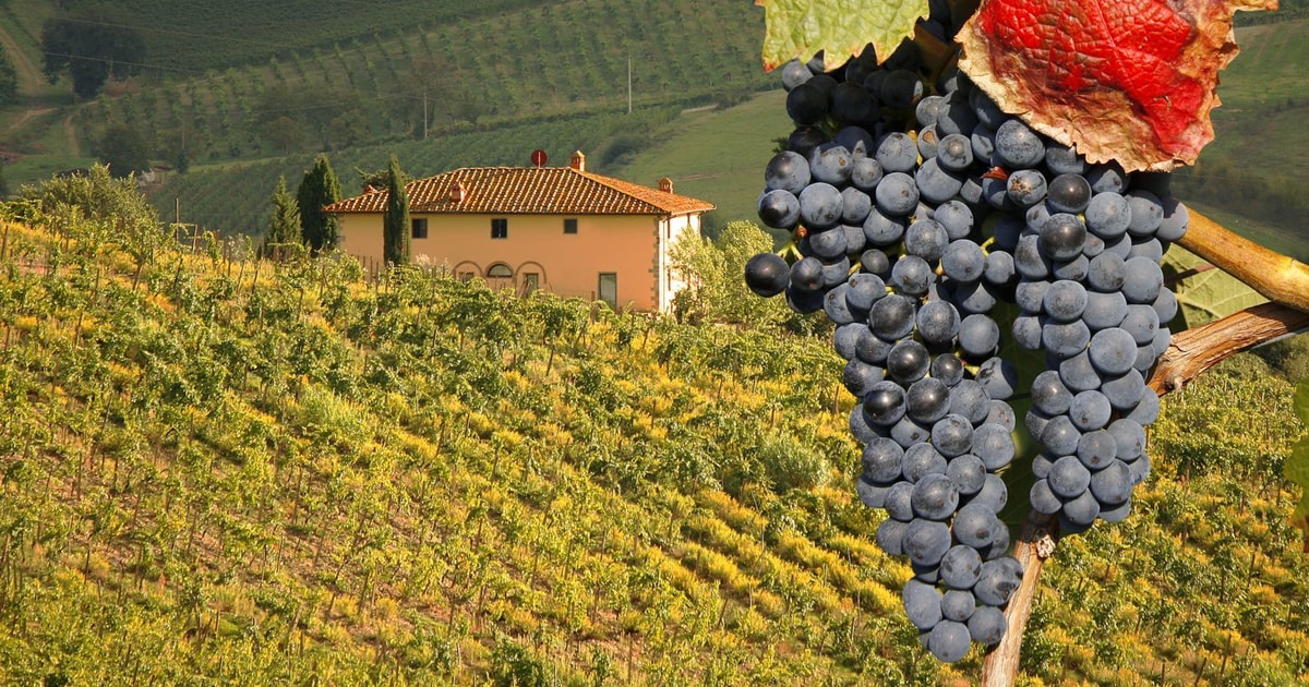 montalcino wine tour from rome