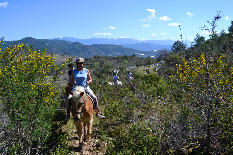 Alanya: Horse Riding Club Transfer ServiceFor Alanya Center Oba Mahmutlar Location