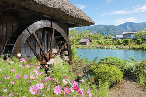Mt Fuji 8 Spots Customizable Sightseeing Day Tour with Guide Mt Fuji 8 Spots Customizable Sightseeing Day Tour with Guide
