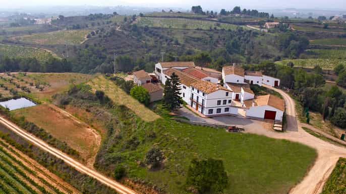 guardiola de fontrubí winery grill menu tour
