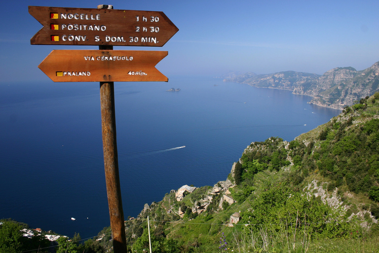 From Sorrento: Path of the Gods Guided Hike with Transfers