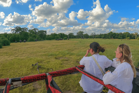 Minneriya : Safari à dos d&#039;éléphant dans le parc national avec prise en charge à l&#039;hôtel