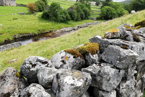 York: &quot;Alla stora och små varelser &quot;Alla stora och små varelser&quot; Yorkshire Dales TourHela dagen: Alla stora och små varelser Tour