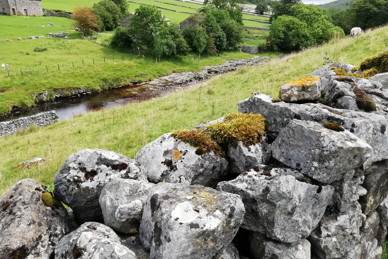 York: &quot;Alla stora och små varelser &quot;Alla stora och små varelser&quot; Yorkshire Dales TourHela dagen: Alla stora och små varelser Tour