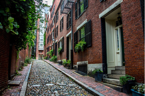 Boston: Tour privado en coche con guía local