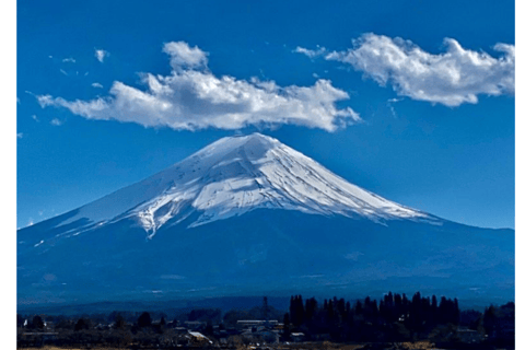 Tokio: Niezapomniana prywatna jednodniowa wycieczka na górę Fuji i jeziora