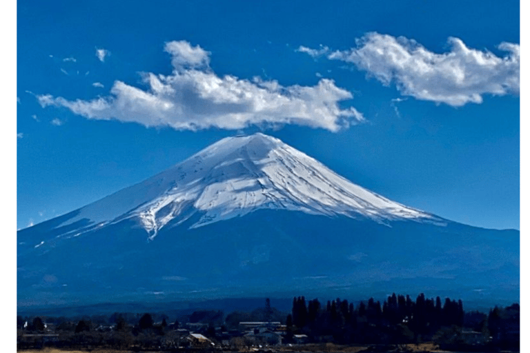 Tokyo : Visite privée d&#039;une journée au Mont Fuji et aux lacs