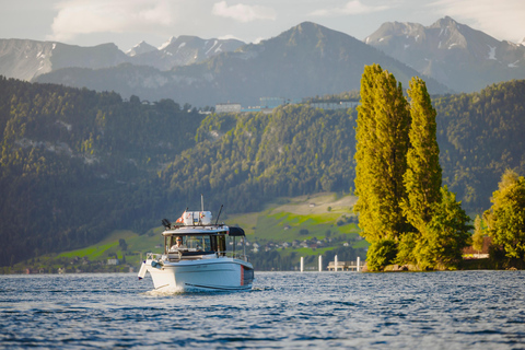 Lake Lucerne: Private Luxury Boat Cruise