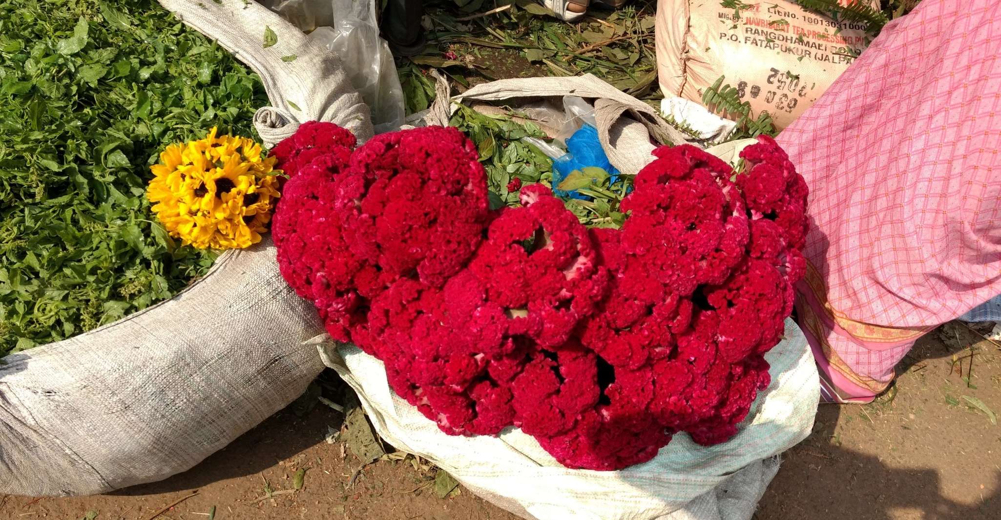 Tour fotografico di Kolkata per un giorno intero - Hizvo