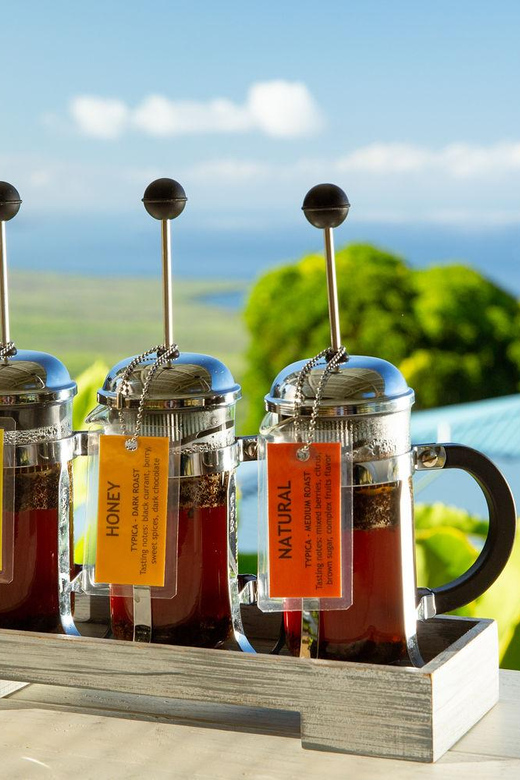 Hawaii: Hala Tree Coffee Farm Tour and Tasting | GetYourGuide